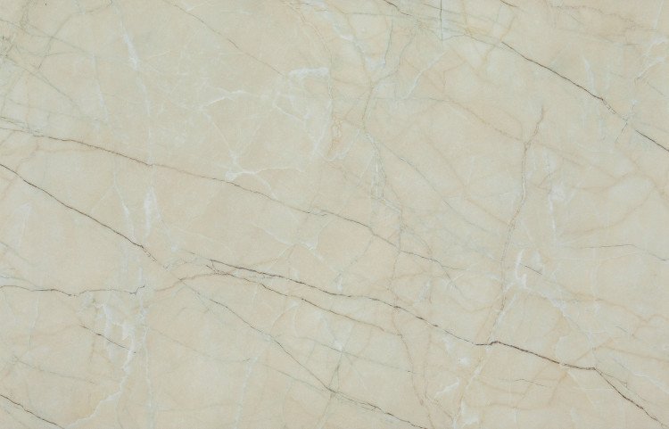 Spider Marble Crepe