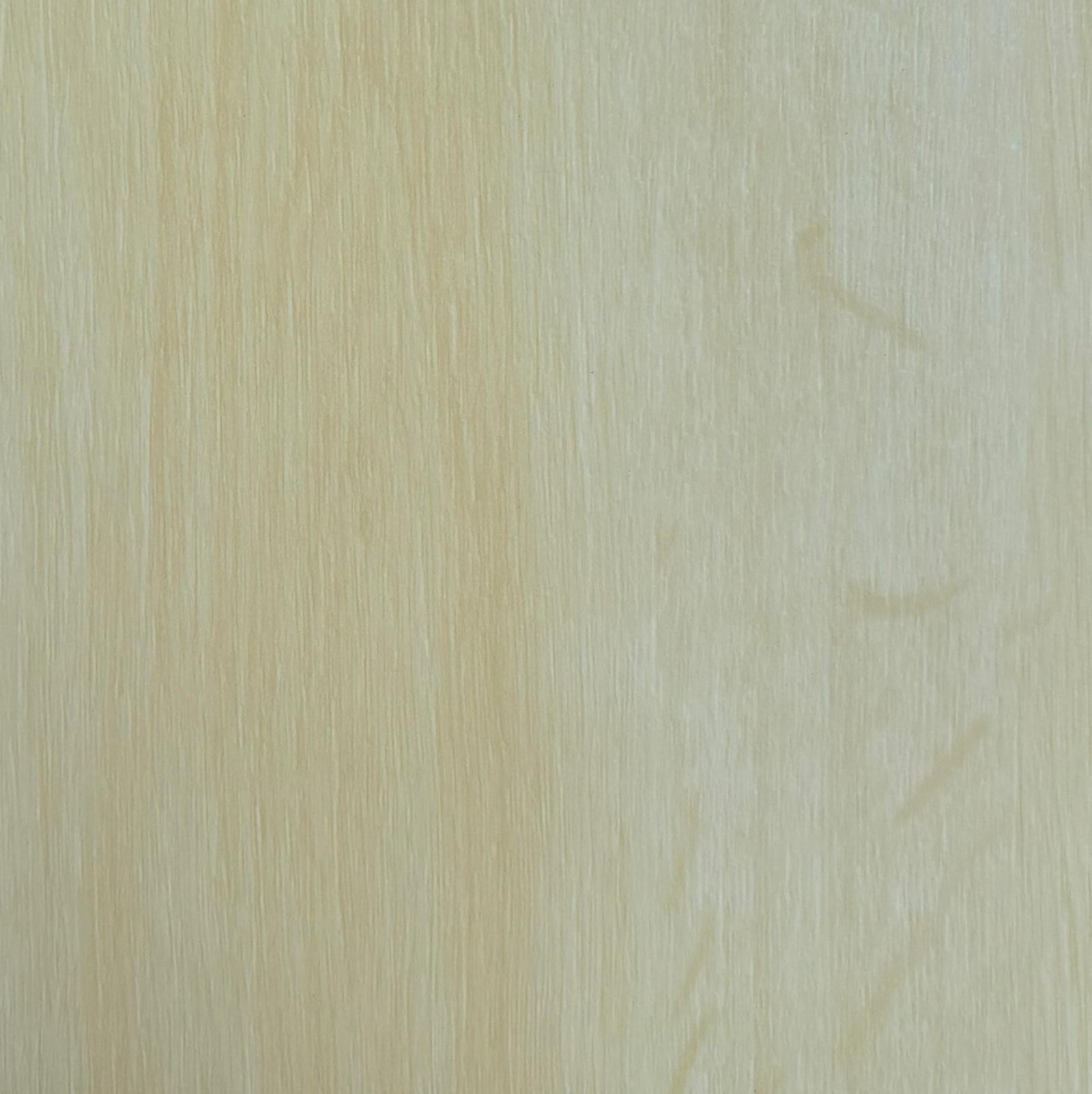  TR-0801