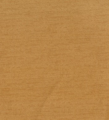 BS-101 Gold Rush