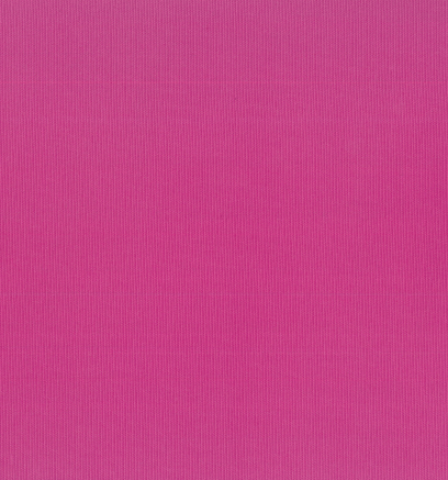 JU-103 Silver Plum