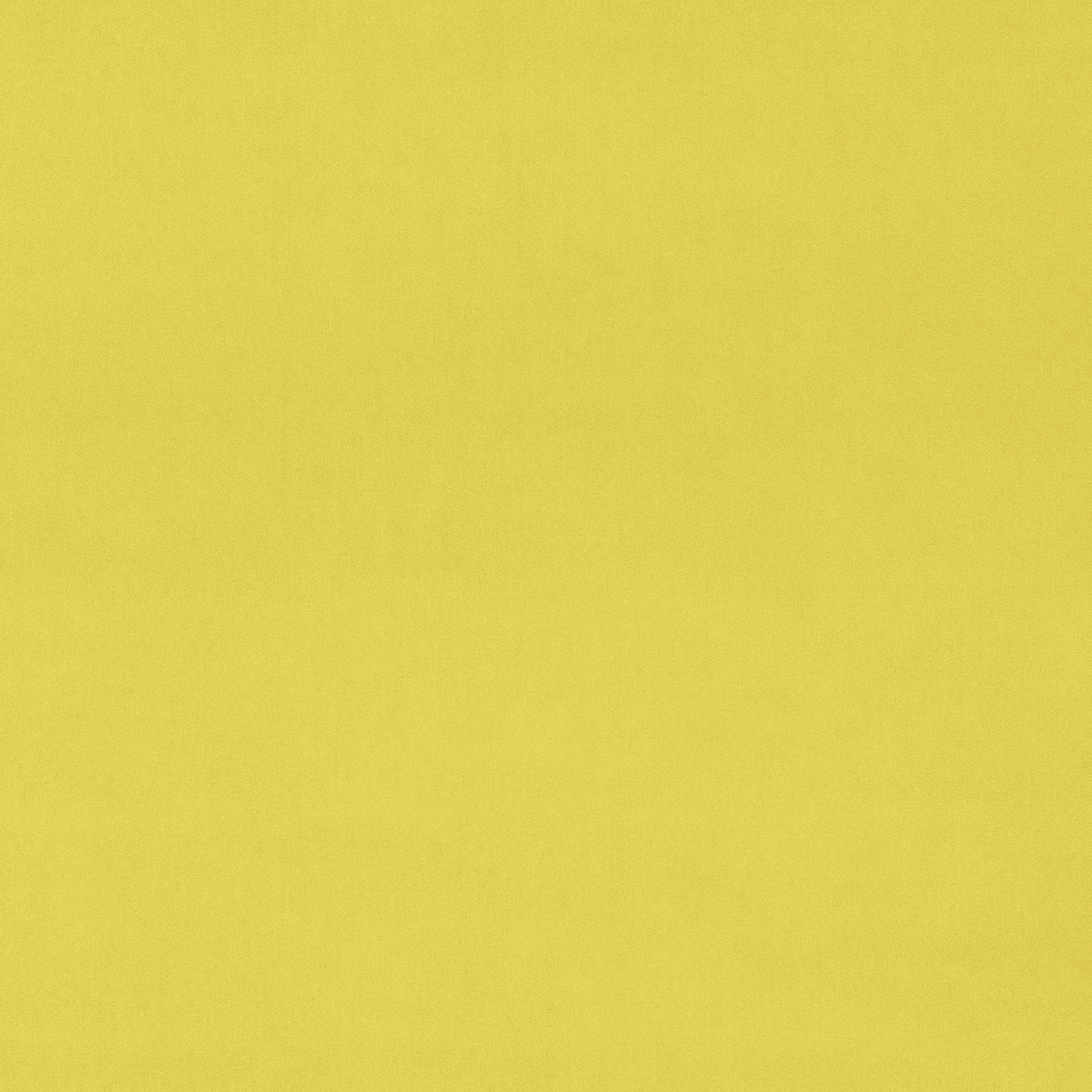 LY-135 Tortilla