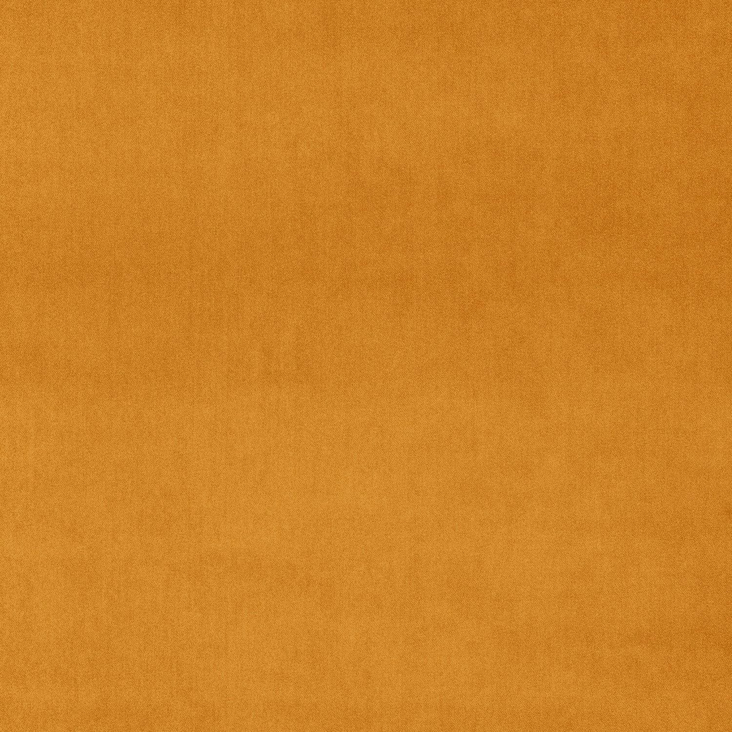 LY-136 Dry Acorn