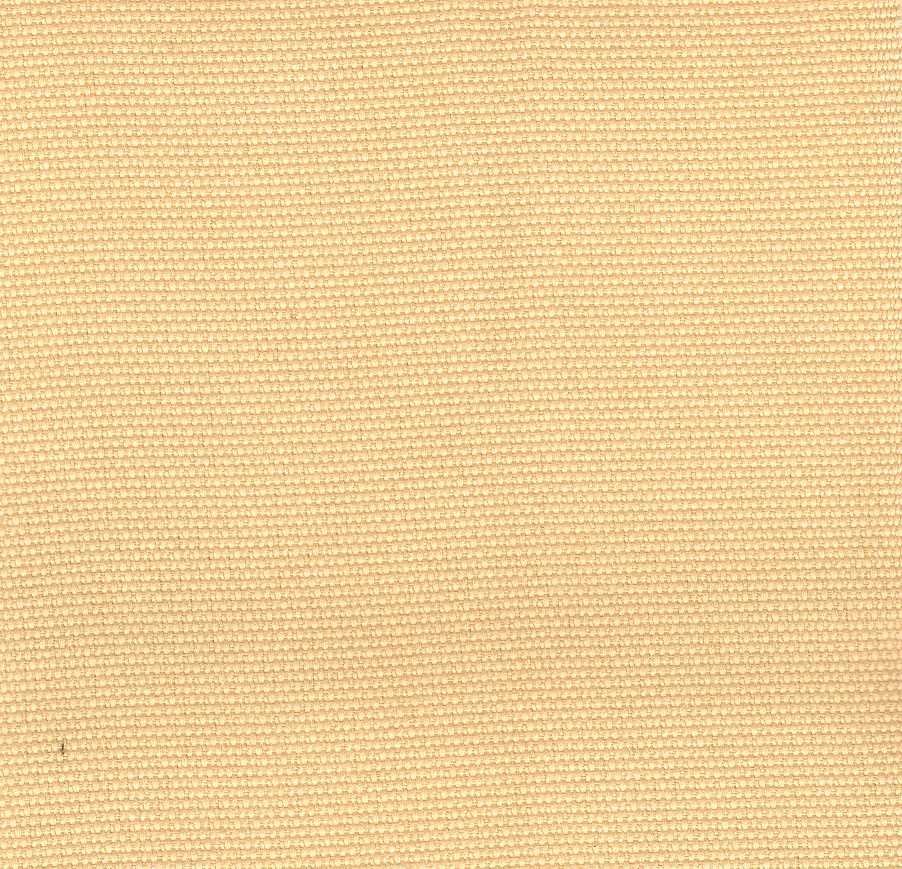 NX-49 Apricoat