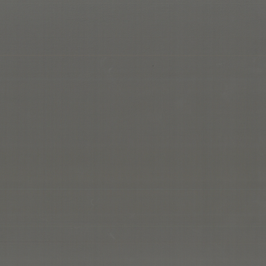 NS-101 Dimgrey