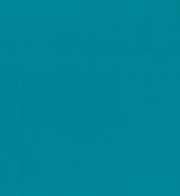 NS-112 Spearmint