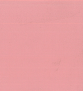NS-115 Salmon
