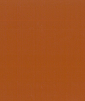 NS-125 Rust