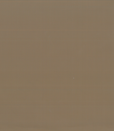 NS-133 Beige