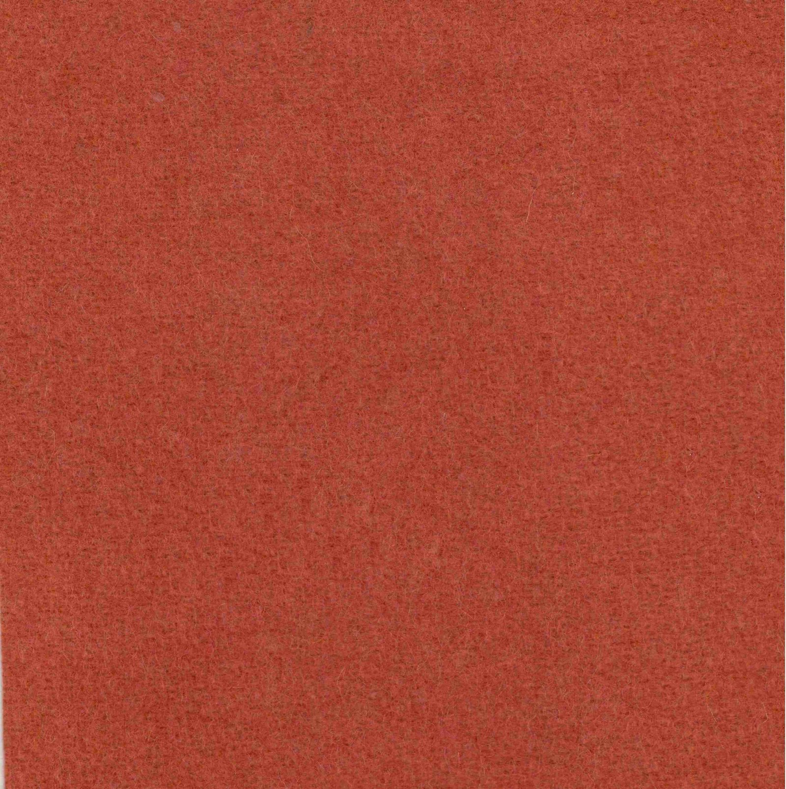  WL-131 Orange