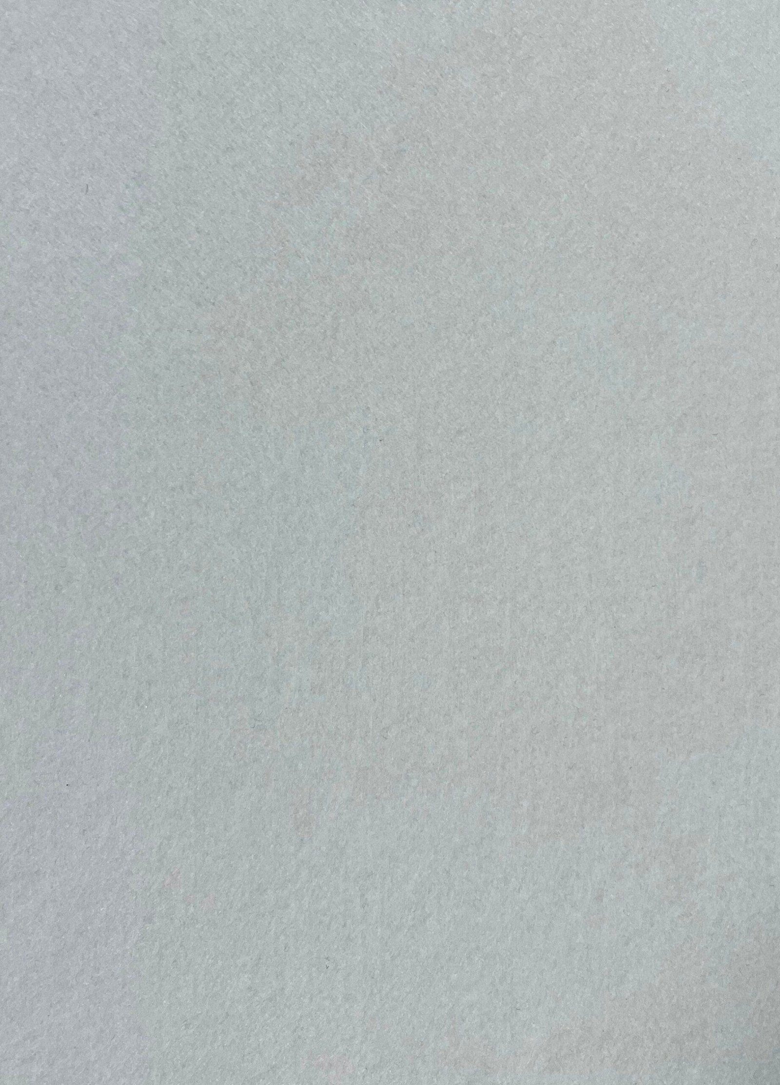 GS-48 Snow 